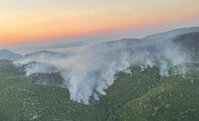 Milas'taki yangında 9'uncu gün