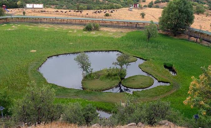Bingöl’de yüzen adalara 7 ayda 30 bin ziyaretçi