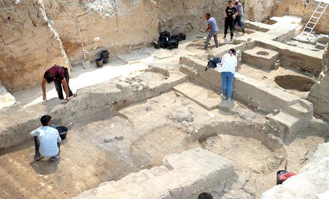 Zeytinin binlerce yıllık yolculuğu gün yüzüne çıkıyor