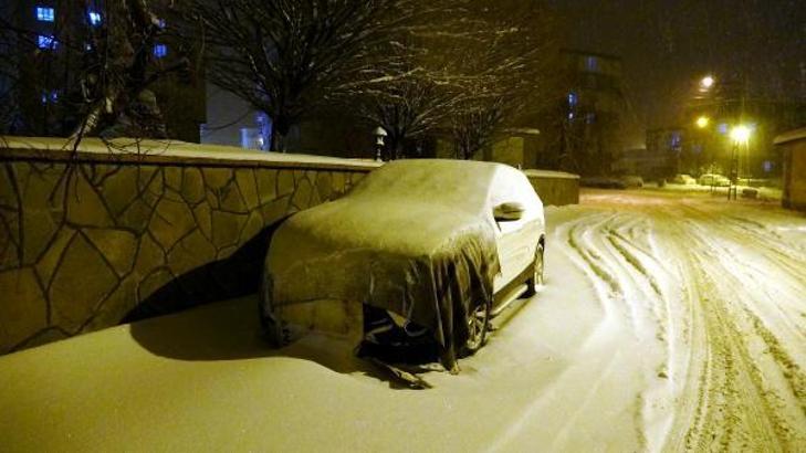 Erciş, eksi 20 derece ile dondu