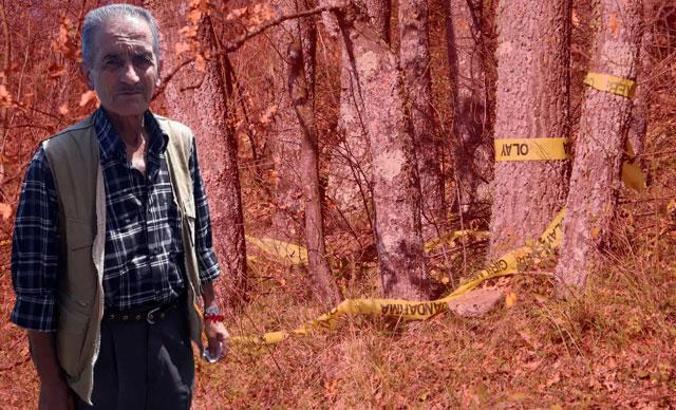 Kesik baş cinayetinde DNA örnekleriyle ilgili rapor bekleniyor