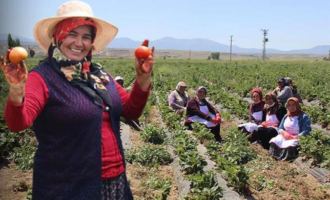 Kaymakam Elif, 55 kadını iş sahibi yaptı