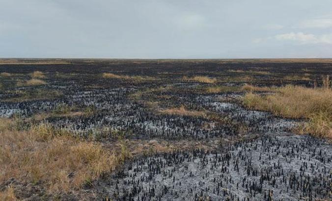 Sultan Sazlığı Milli Parkı'nda 3'üncü yangın; 10 saatte söndürüldü