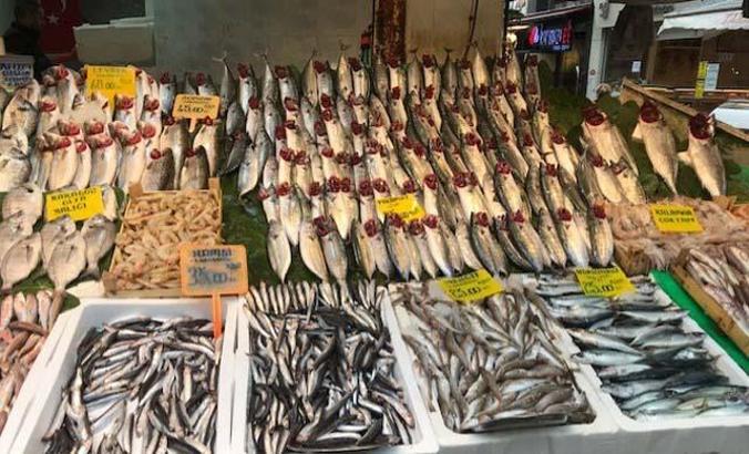 Halden restorana balık fiyatları