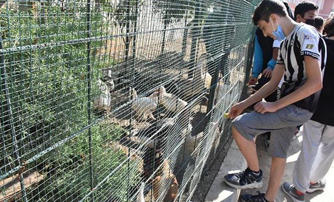 Çiftlik gibi okul bahçesi