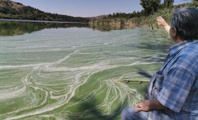 Eymir Gölü de kirlendi