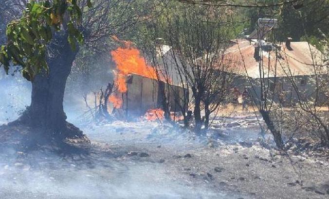 Bingöl’de orman yangını