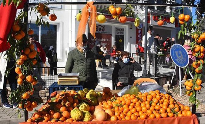 15’inci Bodrum Mandalina Hasat Festivali yoğun katılımla gerçekleşti