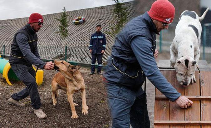 Ömür boyu barınakta kalacak tehlikeli köpeklere 'uyum' eğitimi