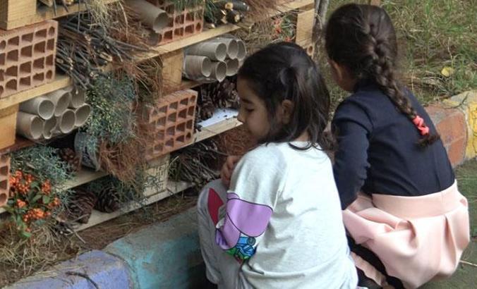 Çevre bilinci için anaokulu bahçesine 'böcek oteli' yaptılar