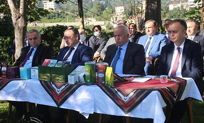 Çaykur, üreticiden 860 bin 400 ton yaş çay aldı