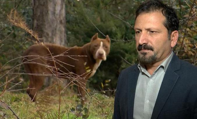 Kafaları karıştıran soruya veteriner hekimler odası başkanından cevap