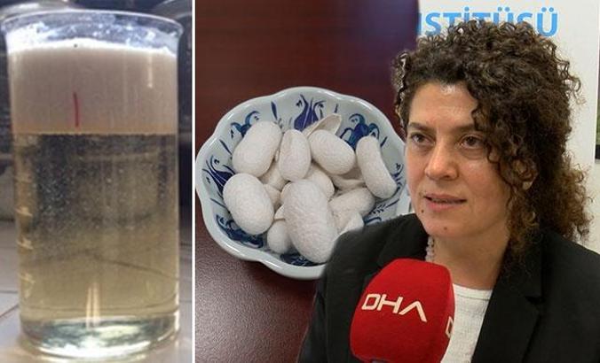 Atık sudan kazanılan serisin proteininden kumaş kaplama malzemesi