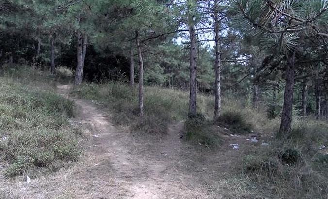 Kadın cinayeti davası: Ormana 2 kişi gitmişler, tek başına dönmüş