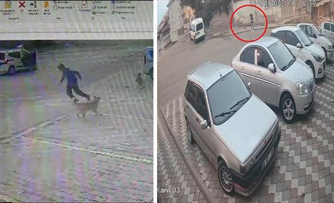 Aynı mahallede 2 köpek saldırısı daha; 2 yaralı