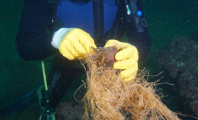 5 dönüm hayalet ağ topladılar