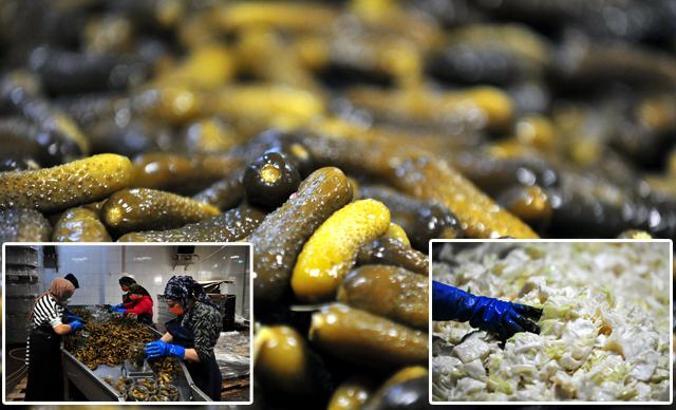 'Turşu göçü' ilçede nüfusu ikiye katlıyor