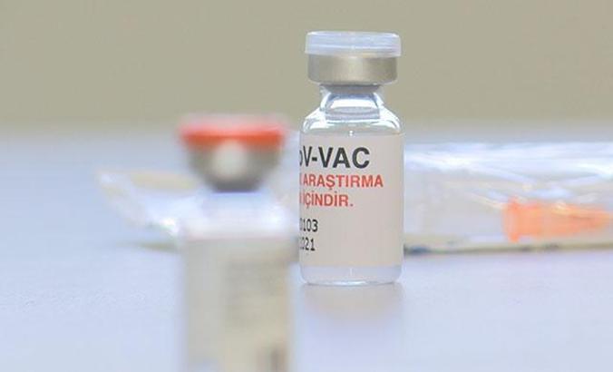 Yerli aşı mı Çin aşısı mı daha etkili, cevap 168 gün sonra belli olacak