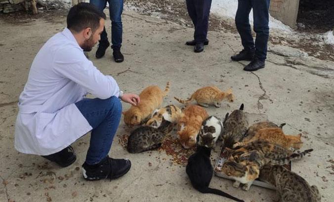 Kimsenin kalmadığı köyde, kedilerin ölmemesi için mücadele eden Baştaş'a destek geldi