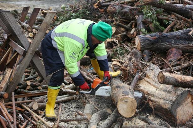 Küçükçekmece’de budanan ağaçlar, yakacak oluyor