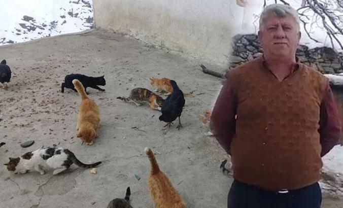 Kimsenin kalmadığı köyde, kedilerin ölmemesi için mücadele ediyor