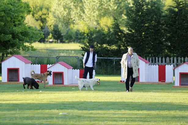 Hayvan sahiplerine yönelik dizi projesi; farkındalık yaratmak amaçlanıyor