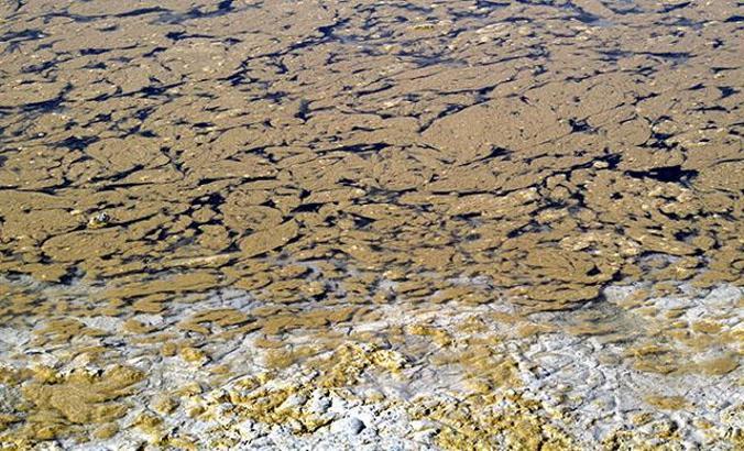 Burdur Gölü'nde alg patlaması