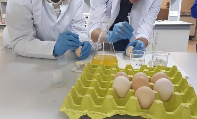 Adana Okyanus Koleji öğrencilerinin projesi, dünya birincisi oldu