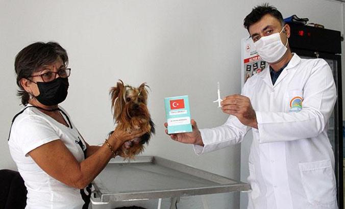 Köpekler 2021, kediler 2022 sonuna kadar çiplenecek