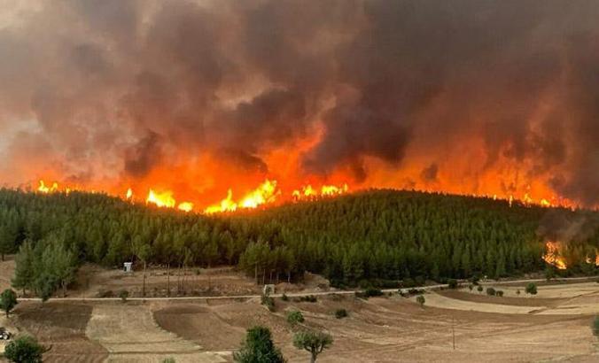 Uzmanlardan iklim senaryolarına uygun 'yangın eylem planı' önerisi