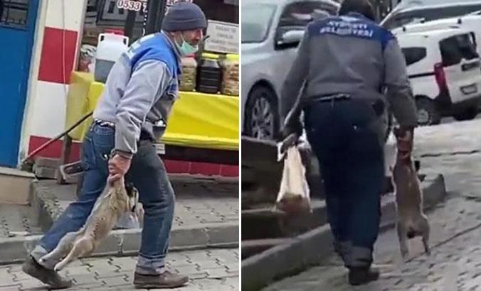 Yavru köpeği patilerinden tutup taşıyan işçiye para cezası