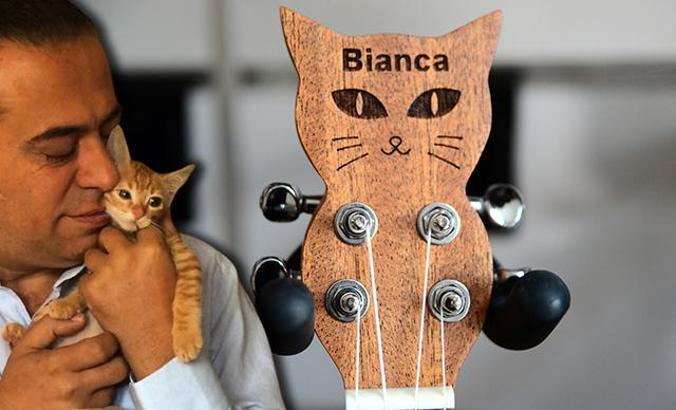 Kaybolan kedisinin anısına özel tasarımlı ukulele üretti