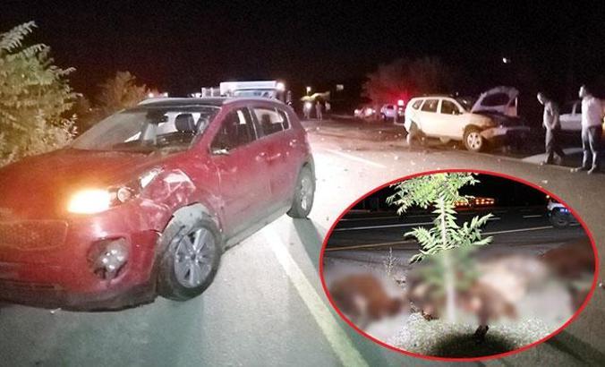 Erzurum'da iki otomobil koyun sürüsüne daldı: 40 koyun öldü