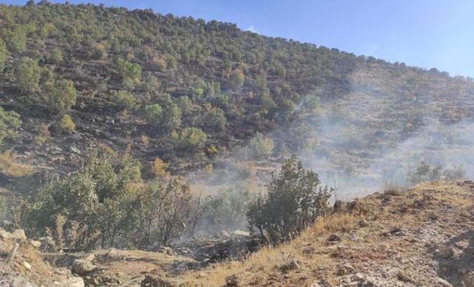 Batman'da 250 dönüm ağaçlık alan yandı