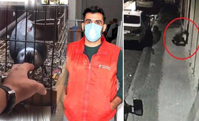 Yavruyken alıp büyüttüğü 'Paşa' adlı papağanı iş yerinden çalındı