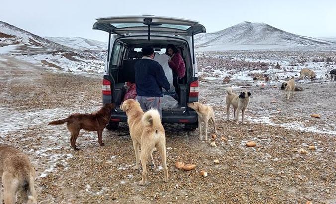 Karlı havada da 60 kilometre gidip, köpekleri besledi