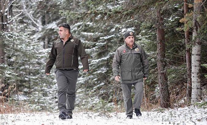 Yılbaşı öncesi kaçak çam ağacı kesimine sıkı denetim