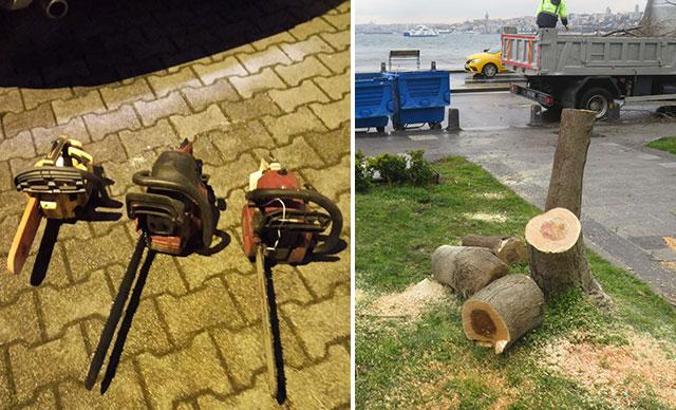 Üsküdar'da ağaçların kesilmesine ilişkin 11 şüpheliye 7 yıla kadar değişen oranlarda hapis istemiyle dava