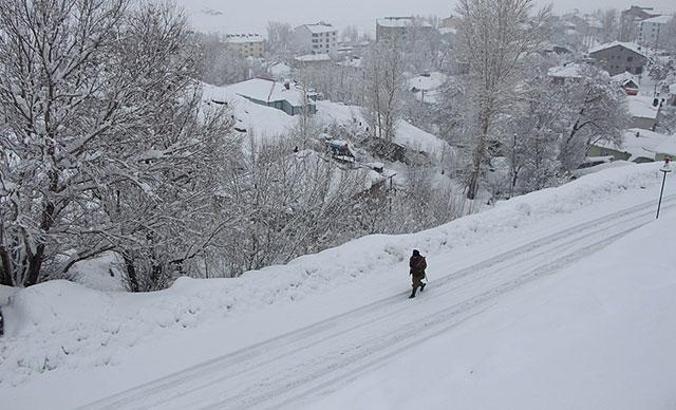 Elazığ ve Bingöl Karlıova'da 46 köy yolu, kardan kapandı
