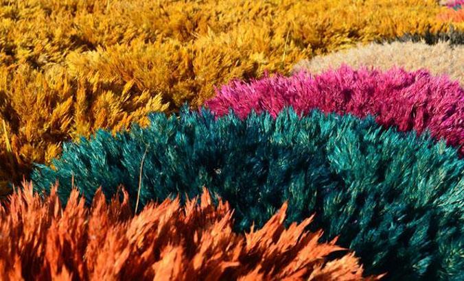 Ayşe öğretmenin 'pampas otu' projesi, köydeki 100 kadına iş imkanı sağladı