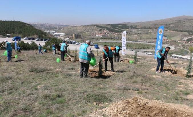 Adalet teşkilatı, 111 bin fidanı toprakla buluşturacak