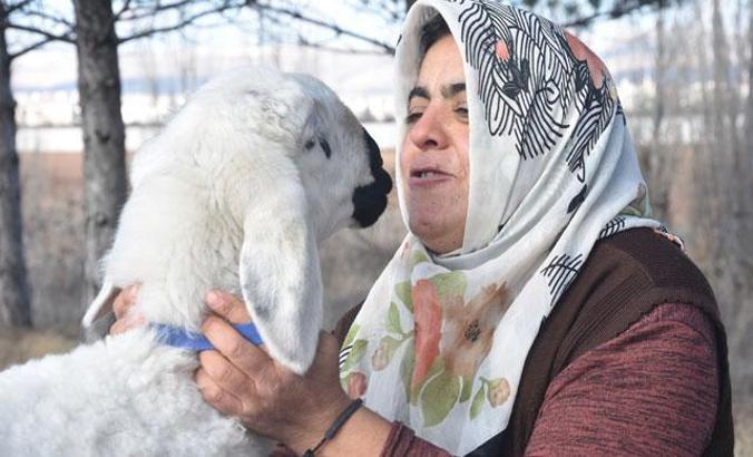 Annesinin kuzusu 'Yaren'