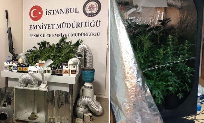 Pendik'te narkotik operasyonu