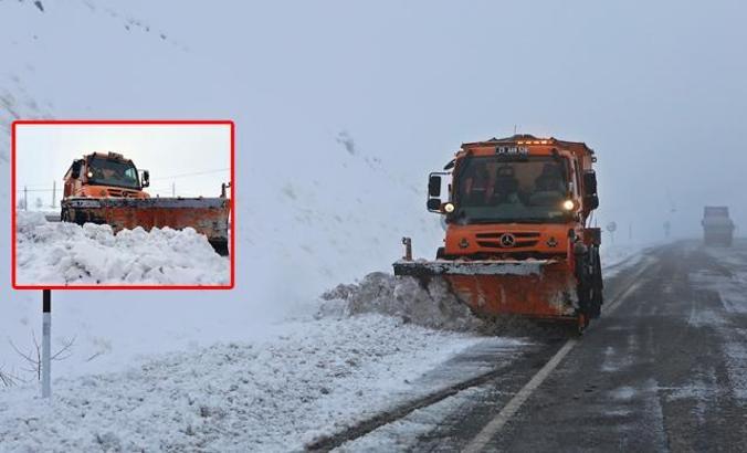 'Turuncu kar kaplanları'nın 2 bin rakımda zorlu mücadelesi