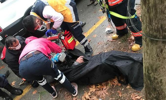 Kozalak toplamak için çıktığı ağaçta elektrik akımına kapılıp öldü