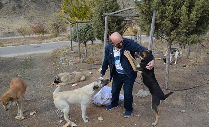 Mobilya ustası, 60 kilometre gidip, 30 köpeği gönüllü besliyor
