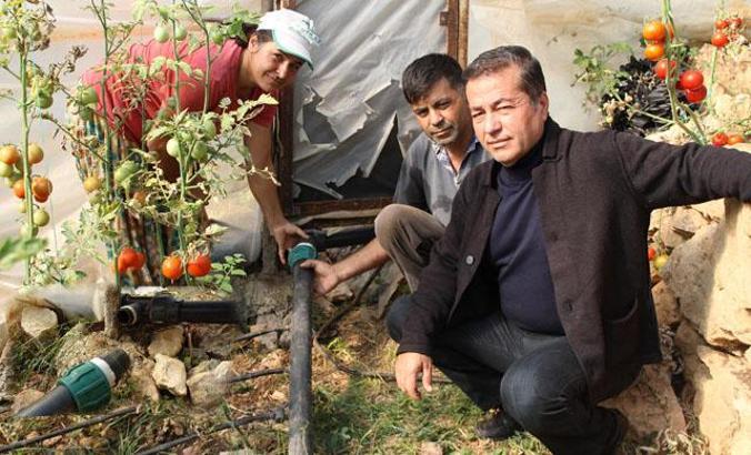 Hırsızlar sulama vanalarını çaldı, 300 dönüm sera ve bahçe susuz kaldı