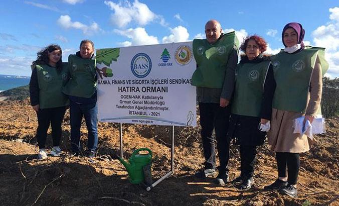 Şile'de, eski maden ocağı alanında fidanlar dikildi