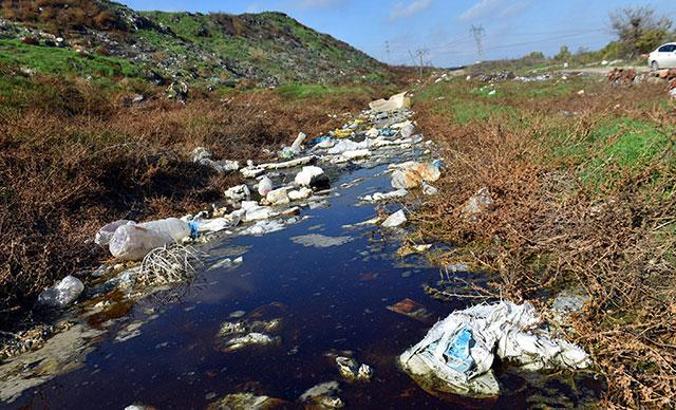 Edirne'de çevrecileri harekete geçiren görüntü