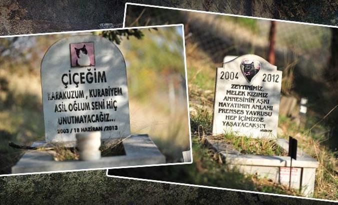 Evcil hayvan mezarlığında duygulandıran yazılar